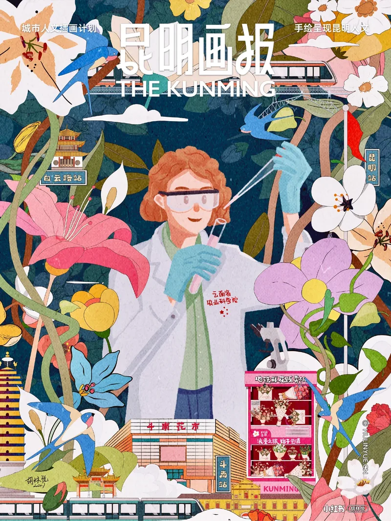 昆明画报 系列作品 01